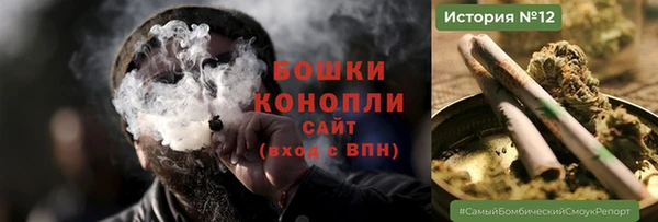 прущие грибы Абдулино